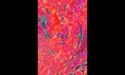 herxa_de_4